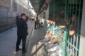 (Imagen de archivo) La ACNUDH llam&Atilde;&sup3; a aumentar las sustituciones de prisi&Atilde;&sup3;n preventiva m&Atilde;&iexcl;s all&Atilde;&iexcl; del grupo de internos con mayor riesgo sanitario