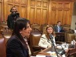 Viviana Castel durante su exposici&oacute;n ante la Comisi&oacute;n de Constituci&oacute;n, Legislaci&oacute;n, Justicia y Reglamento del Senado.